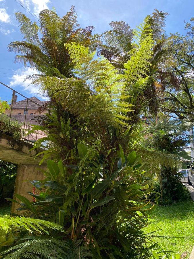 Casa Da Vo Diva No Centro De Gramado Villa Kültér fotó